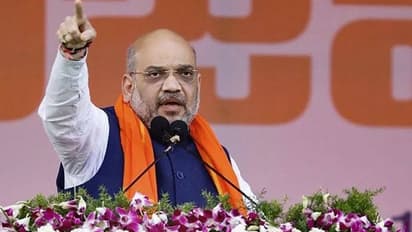 Delhi Assembly election 2020: Amit Shah makes pre-poll strike to AAP, Congress