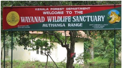 മുത്തങ്ങ വന്യജീവി സങ്കേതത്തില് വാഹനങ്ങള് നിര്ത്തിയിടുന്നതിന് നിരോധനം