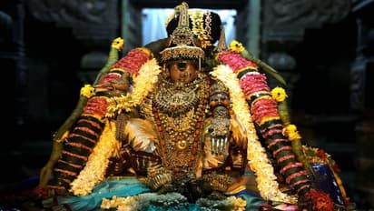 மோகினியாக காட்சி தந்த நம்பெருமாள்..! நாளை சொர்க்கவாசல் திறப்பு..!