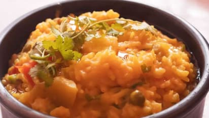 ಮಕರ ಸಂಕ್ರಾಂತಿ ದಿನ ಖಿಚಡಿ ಮಹತ್ವವೇನು?  ತಿನ್ನಲು ವೈಜ್ಞಾನಿಕ ಕಾರಣವೇನು?