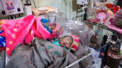 ராஜஸ்தான் மட்டுமல்ல..குஜராத்திலும் 100-க்கும் மேற்பட்ட பச்சிளங்குழந்தைகள் உயிரிழப்பு...