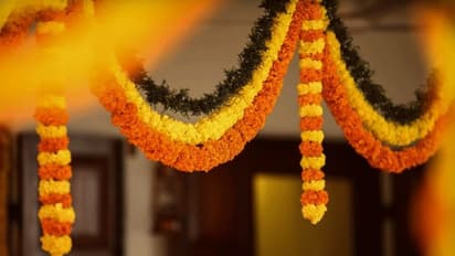 ಫೆಬ್ರವರಿಯಲ್ಲಿ ಈ 6 ದಿನ ಗೃಹಪ್ರವೇಶಕ್ಕಿದೆ ಮುಹೂರ್ತ; ಹೊಸ ಮನೆ ಪ್ರವೇಶ ವಿಷಯದಲ್ಲಿ ಮಾಡಬೇಡಿ ಈ ತಪ್ಪು