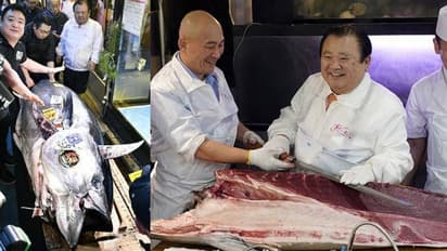 276 കിലോ തൂക്കം, ടോക്കിയോയിൽ ലേലത്തിന് വിറ്റ ഒരൊറ്റ അയലയുടെ വില 12 കോടി രൂപ