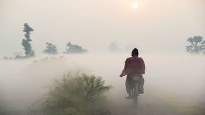এক ধাক্কায় চড়ল তাপমাত্রার পারদ, রাজ্য থেকে কি বিদায় নিচ্ছে শীত