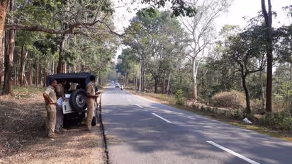 കടുവ ഭീതിയൊഴിയാതെ വയനാട്ടിലെ വടക്കനാട് പ്രദേശം