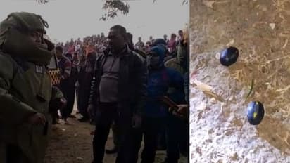 দেখতে ঠিক জামের মত, ভয়ঙ্কর বোমার হদিশ মিলল রাজ্য়ে