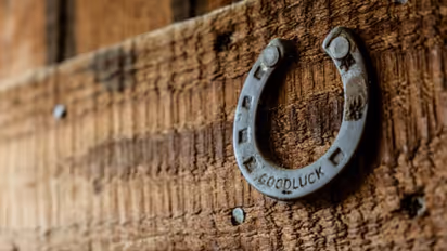 ಮನೆಯಲ್ಲಿ ಕುದುರೆ ಲಾಳವನ್ನು ತೂಗು ಹಾಕಿದ್ರೆ ಶ್ರೀಮಂತರಾಗ್ತಾರಂತೆ 