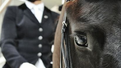 স্বপ্নে ঘোড়া দেখা, আপনার পক্ষে মঙ্গলজনক না অশুভ