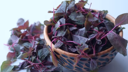 শীতে গরম ভাতে জমিয়ে খান লাল শাক, জেনে নিন এর ঔষধি গুণ