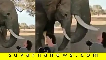 ಏಯ್ ಹೋಗತ್ಲಾಗೆ...: ಫೋಟೋ ಕ್ಲಿಕ್ ಮಾಡಿದವಳನ್ನು ತಳ್ಳಿ ಹಾಕಿದ ಆನೆ!