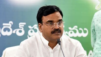 ఆ నగరం దేశ రాజధానిగా ఓకే... రాష్ట్ర రాజధానిగా మాత్రం పనికిరాదట...: ఏపి డిప్యూటీ సీఎం