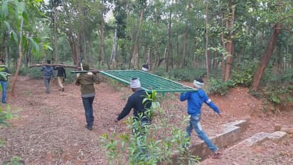 খাঁচা থাকলেও দেখা নেই বাঘমামার, আতঙ্কে কাঁপছে বেলপাহাড়ি