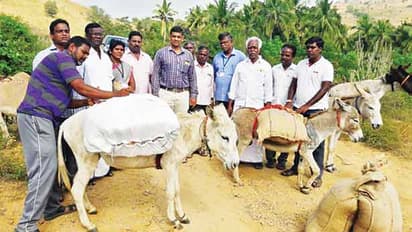 கழுதைகளில் ஏற்றப்பட்ட பொங்கல் பரிசு..! மலைகிராம மக்களுக்கு தொடரும் அவலம்..!