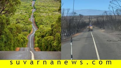 ಹೀಗಿದ್ದ ಆಸಿಸ್ ಹೀಗಾಯ್ತು:  ಕಾಡ್ಗಿಚ್ಚಿಗೆ ಬದುಕೇ ಸರ್ವನಾಶವಾಯ್ತು!