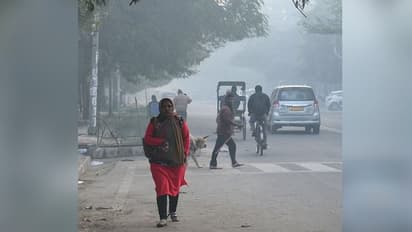 শহরে আরও খানিকটা নামল পারদ, সপ্তাহান্তে ফের জমিয়ে শীত বঙ্গে
