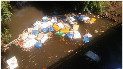 നാട്ടുകാരുടെ കുടിവെള്ളം 'മുട്ടിച്ച്' തോട്ടില് അറവുമാലിന്യങ്ങള് തള്ളി