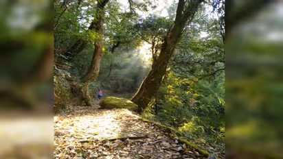 ಹಿಲ್ ಸ್ಟೇಷನ್ ಟ್ರಾವೆಲ್ ಮಾಡೋವಾಗ ಇವನ್ನು ಮರೀಬೇಡಿ