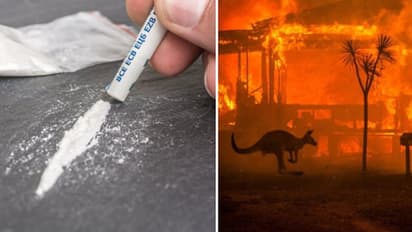 ड्रग्स की बिक्री बढ़ाने को तस्कर ने किया शर्मनाक काम, जलते ऑस्ट्रेलिया के बहाने बढ़ाया धंधा