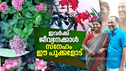 10 സെന്‍റില്‍ നിറയെ പൂക്കള്‍, ഇത് സുശീലാ ബായിയുടെ വീട്ടുമുറ്റത്തെ പൂന്തോട്ടം, ഒപ്പം ചില ടിപ്‍സുകളുമുണ്ടിവര്‍ക്ക് പങ്കുവെക്കാന്‍