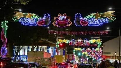 குழந்தைகளின் வண்ணமயமான ஆட்டம்... பாட்டம்... மலேசியாவில் பாரம்பரியத்தோடு களைகட்டிய பொங்கல் திருவிழா!