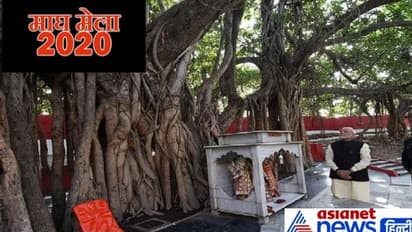 युगो युगो से है इस प्राचीन पेड़ की ये महत्ता, पीएम मोदी भी करने आए थे दर्शन