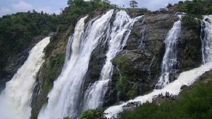 4 ವರ್ಷದ ನಂತರ ಗಗನಚುಕ್ಕಿ ಜಲಪಾತೋತ್ಸವ..! ಸಂಭ್ರಮಕ್ಕೆ ದಿನಗಣನೆ..!