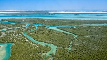 തീരദേശ പരിപാലന നിയമത്തിൽ കേരളത്തിന് ഇളവുകൾ നൽകി കേന്ദ്രം; സംസ്ഥാനത്തെ 66 പഞ്ചായത്തുകൾക്ക് ആശ്വാസം