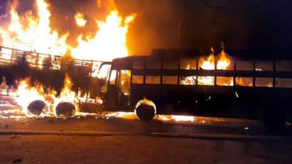 கண்ணிமைக்கும் நேரத்தில் லாரி-பேருந்து நேருக்கு நேர் மோதல்... 20 பேர் உடல் கருகி உயிரிழப்பு..!