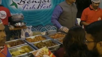 আহারে জুটবে বাহারি মাছ, কলকাতার নলবনে মৎস্য উৎসব
