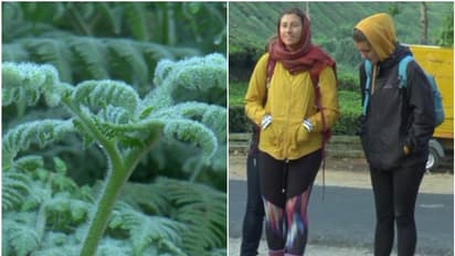 മഞ്ഞിന്റെ പുതപ്പണിഞ്ഞ് മൂന്നാര് വിളിക്കുന്നു; സഞ്ചാരികളെ ഇതിലേ..!