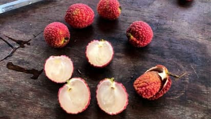 లీచీ పండ్లు తింటున్నారా.. వీటితో లాభలే కాదండోయ్ నష్టాలు కూడా.. ఏంటో తెలుసుకోండి!