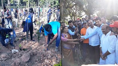 Bengaluru's green cover to grow as citizens set to plant one crore tree sapling