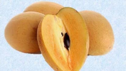 শরীরের ওজন কমাতে চান,  প্রতিদিন পাতে রাখুন সবেদা