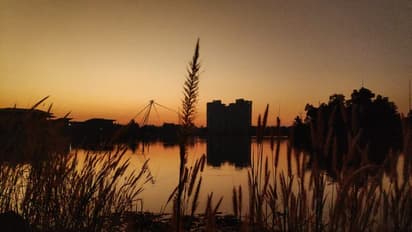 ഒടുവില്‍ ഒരുപിടി മണ്‍കൂനയായി... മരട് ഫ്ലാറ്റുകള്‍