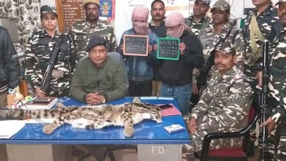 বিলুপ্তপ্রায় ক্লাউডেড লেপার্ড-এর চামড়া পাচারের চেষ্টা, দুই বিদেশিকে ধরল পুলিশ