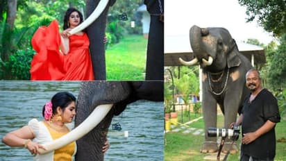 'ആ രീതി വര്‍ക്കൗട്ടായി, ഓരോ ഷോട്ടിലും ചങ്കിടിപ്പ് കൂടുകയായിരുന്നു'; വൈറലായ 'ആനയ്‍‍‍ക്കൊരുമ്മ' ഫോട്ടോഗ്രാഫര്‍