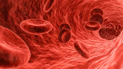 ലുക്കീമിയ; അറിഞ്ഞിരിക്കണം ഈ  ലക്ഷണങ്ങള്‍...