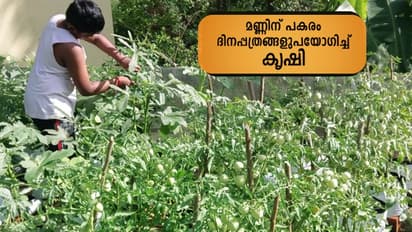 മണ്ണിന് പകരം ദിനപ്പത്രം? ഈ കൃഷി ആരോഗ്യത്തിന് ഹാനികരമോ?