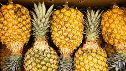 ಆತ್ಮನಿರ್ಭರ ಯೋಜನೆಗೆ ಅನಾನಸ್ ಆಯ್ಕೆ