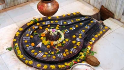 সোমবার পালন করুন এই কয়টি টোটকা, জ্যোতিষ মতে দূর হবে সকল দুর্ভোগ