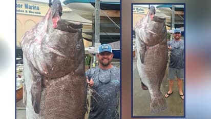 বড়শি ফেলতেই উঠে এল ৩৫০ পাউন্ড ওজনের মাছ , বয়স পেড়িয়েছে অর্ধশতাব্দী