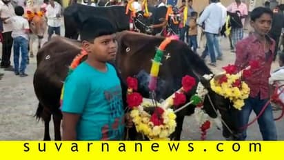 ಸಂಕ್ರಾಂತಿ ಸಂಭ್ರಮ: ಈ ಊರಲ್ಲಿ ದನಗಳ ಮೆರವಣಿಗೆಗೆ ಖರ್ಚು ಮಾಡೋದು ಲಕ್ಷ ಲಕ್ಷ..!