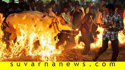 ಇಂದು ಸಂಕ್ರಾಂತಿ ಸಂಭ್ರಮ; ಎಲ್ಲೆಲ್ಲೆ ಹೇಗೆ ಆಚರಣೆ?