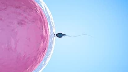 സെമൻ അലർജി; ലക്ഷണങ്ങളും കാരണങ്ങളും