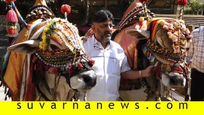 ಉಳುಮೆ ಮಾಡಿಕೊಂಡಿರ್ತೀನಿ, ರೇಸಲ್ಲಿ ನಾನಿಲ್ಲ!: ಕಣದಿಂದ ಹಿಂದೆ ಸರಿದ್ರಾ ಡಿಕೆಶಿ?