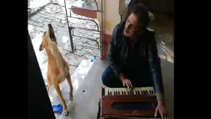 ഉടമയ്ക്കൊപ്പം പാട്ടുപാടി നായ, തകര്പ്പന് ഡുയറ്റെന്ന് സോഷ്യല് മീഡിയ