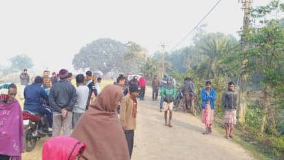 শশ্মানে ঢুকে পড়ল হাতি, হামলায় প্রাণ গেল একজনের