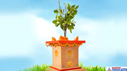इस विधि से करें तुलसी की पूजा और आरती, इससे घर में बनी रहती है सुख-समृद्धि