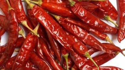 Healthy Food : ಖಾರವಾಗಿದ್ರೂ ಆರೋಗ್ಯಕ್ಕೆ ಒಳ್ಳೆಯದು ಈ ಫುಡ್