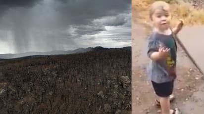 অবশেষে স্বস্তির বৃষ্টি অষ্ট্রেলিয়ায়, খুদের নাচে মাতল নেট দুনিয়া